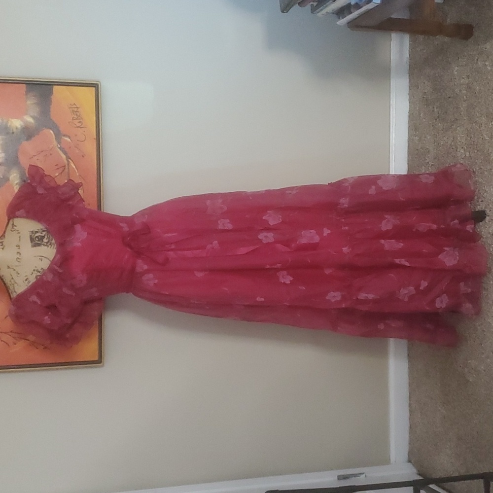 Candi Jones California 1970s Vintage Floral Ruffle Floor Length Dress